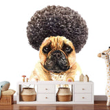 Panoramatapete Funky Bulldog