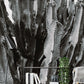 Papier peint panoramique Cactus noir et blanc