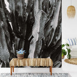 Papier peint panoramique cactus noir et blanc illustré, dans une chambre adulte
