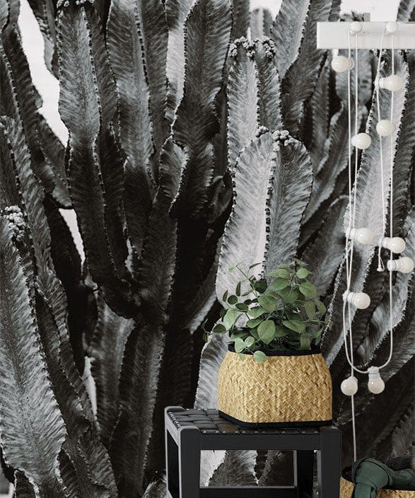 Deuxième vue du papier peint cactus noir et blanc dans une chambre adulte