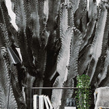 Troisième vue du papier peint cactus noir et blanc dans une chambre adulte