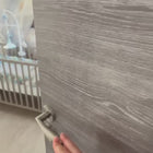 Papier enfant bébé lion tout mignon